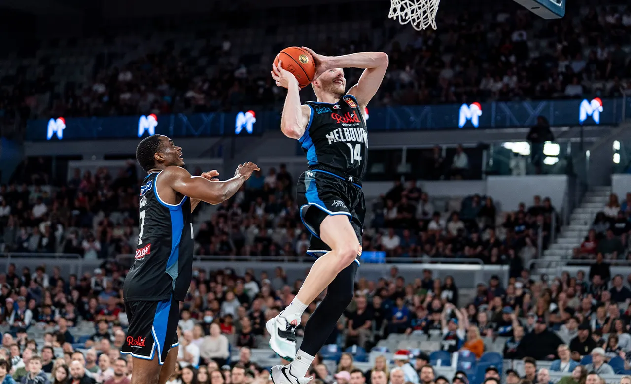 White flies in return to court