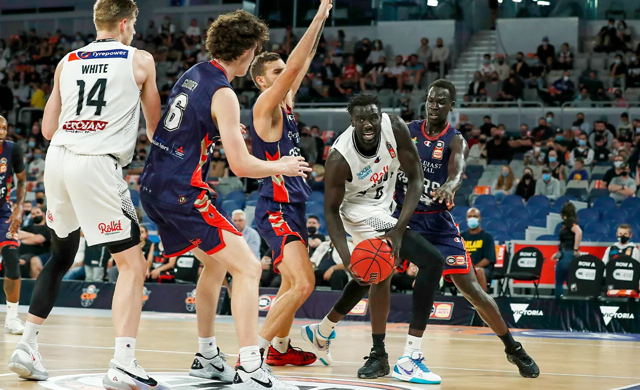 DrinkWise Preview: Round 15 Melbourne United v Adelaide 36ers