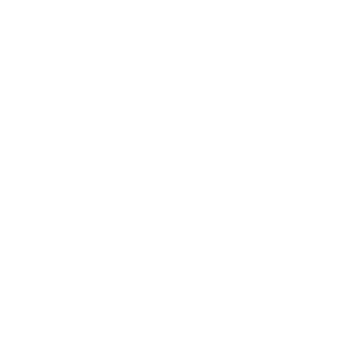 Zentrydigitalhub logo