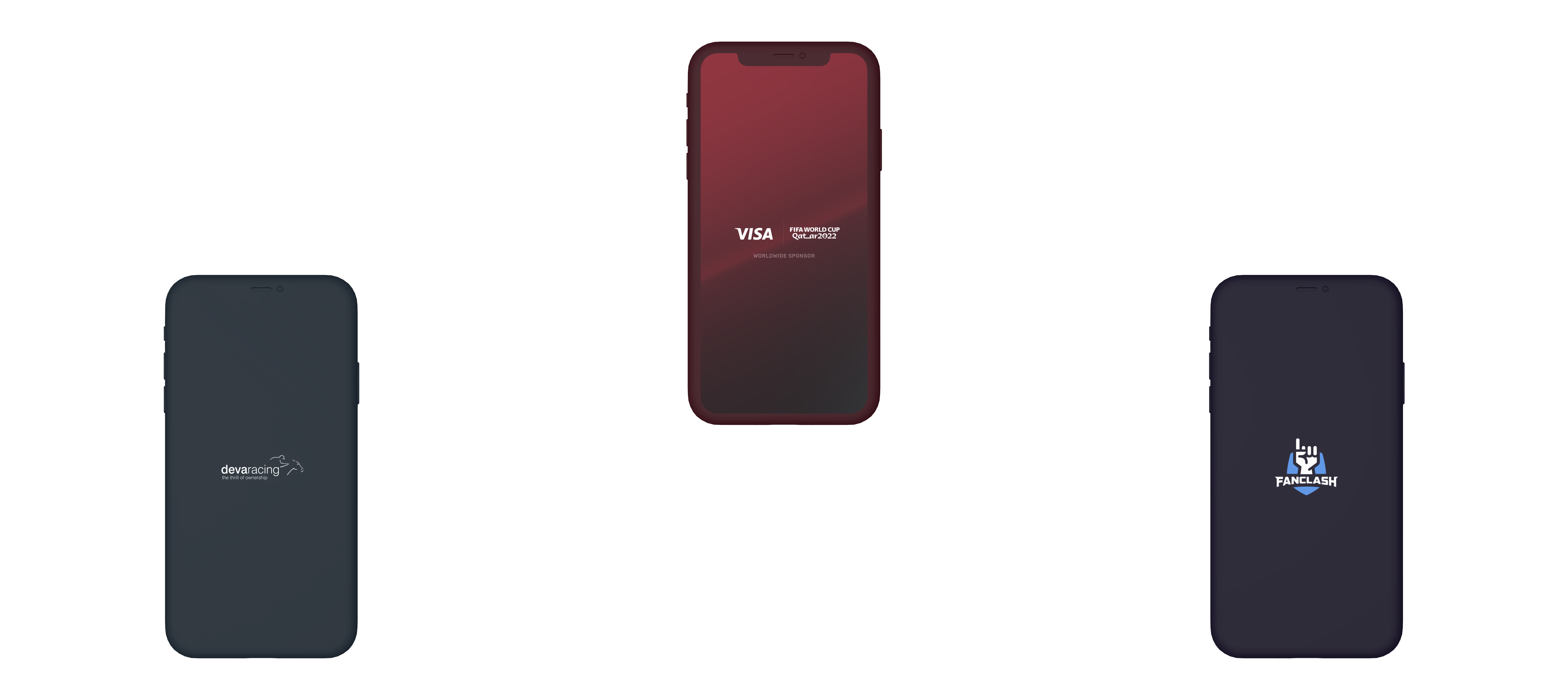 Visa splash screen