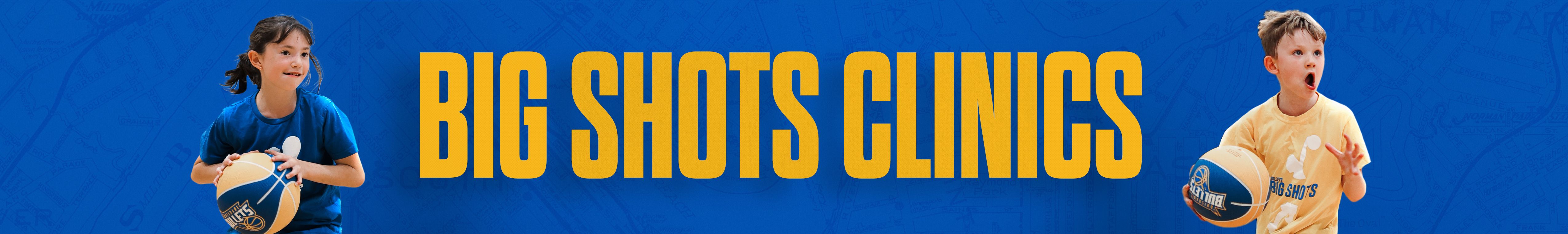 Big Shots Version 2 Page Banner