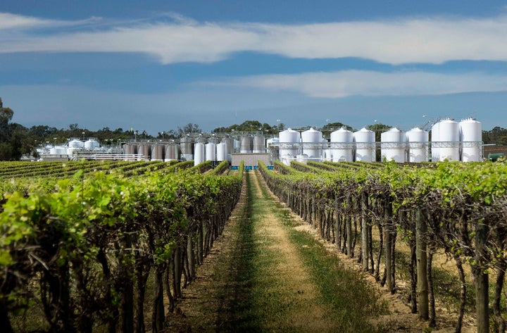 Andrew Peace Wines Join Bullets Family