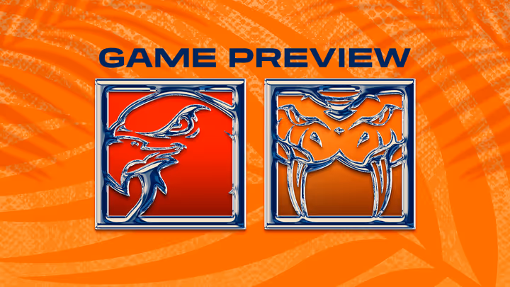 Game Preview: Taipans v Hawks