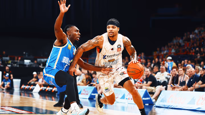 Taipans fall in high scoring derby
