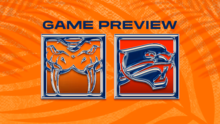 Game Preview: Taipans v Wildcats