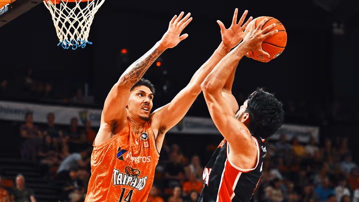 Hawks swoop in on undermanned Taipans