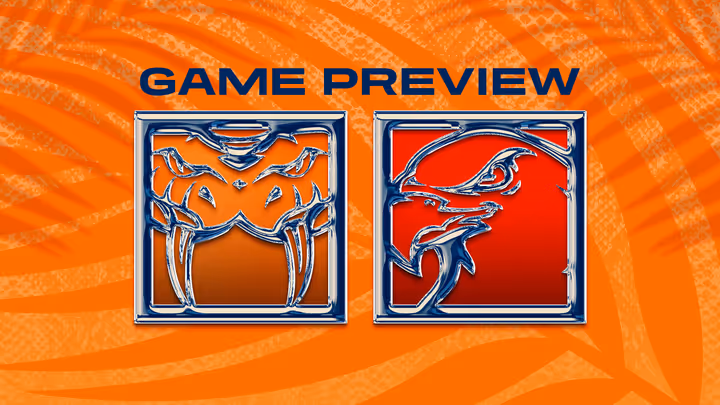 Game Preview: Taipans v Hawks