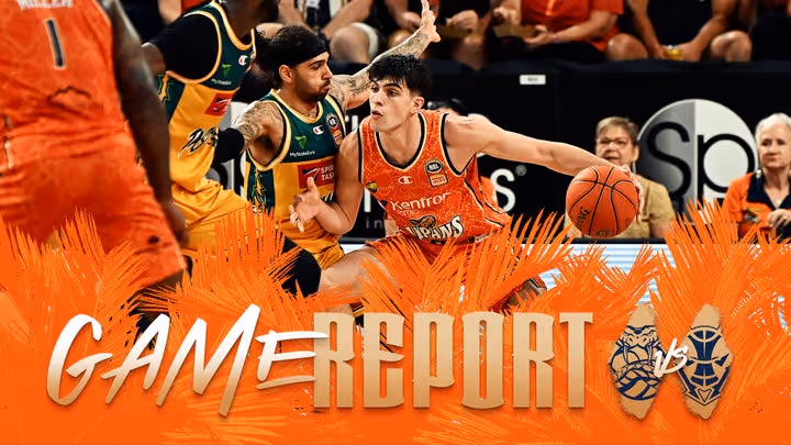 Taipans fall to Tasmania
