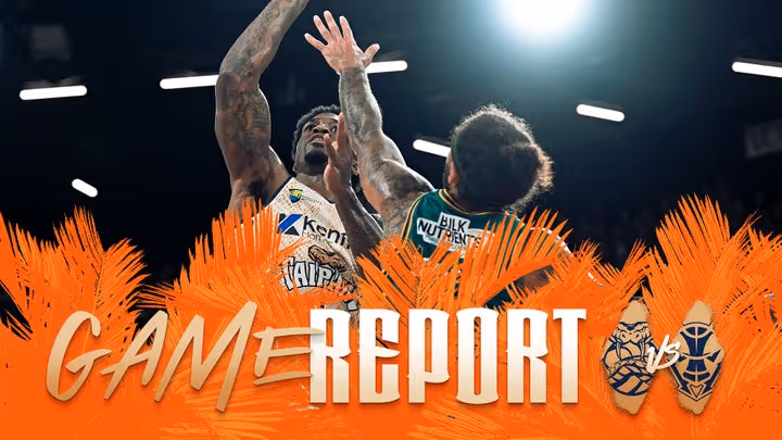 Taipans go down in Tasmania