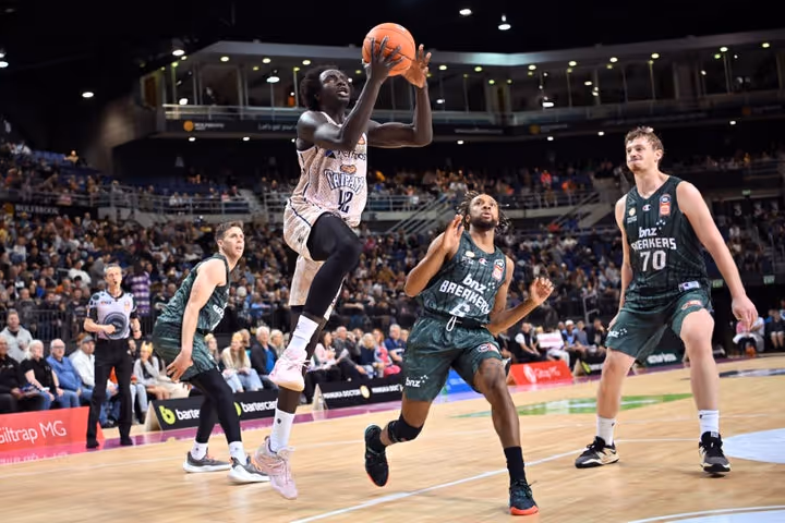 Taipans drop ball in New Zealand
