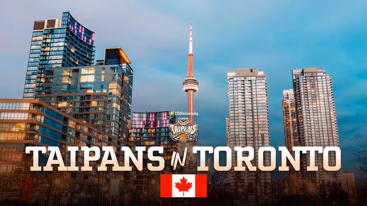 Taipans in Toronto 🇨🇦