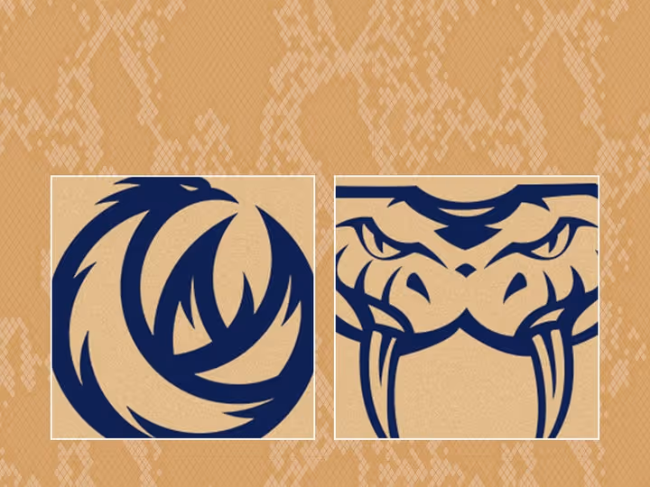 Round 17: Taipans v Phoenix