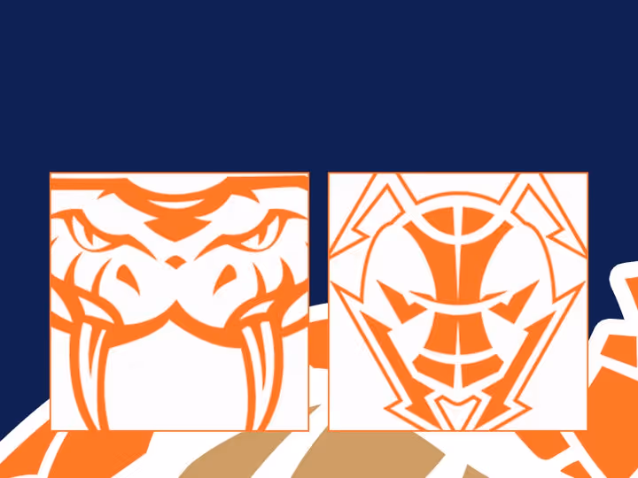 Round 16: Taipans v JackJumpers