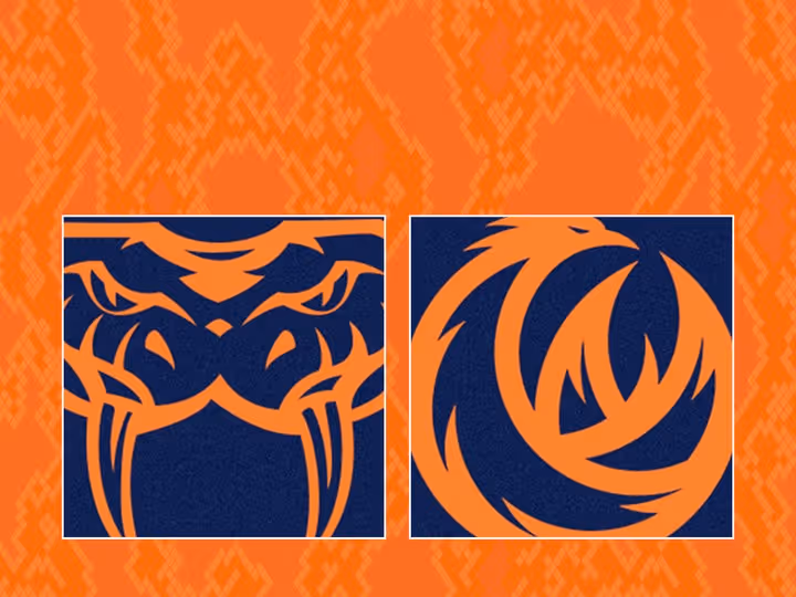 Round 14: Taipans v Phoenix