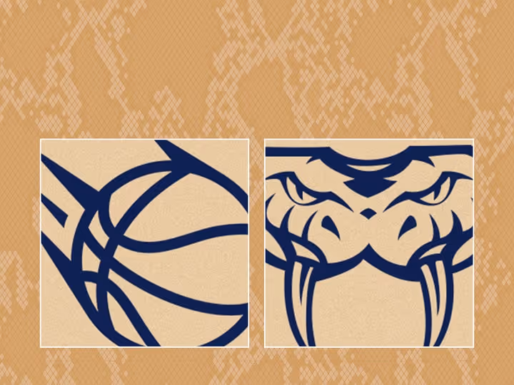 Round 14: Taipans v Bullets