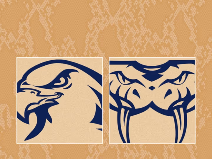 Round 13: Taipans v Hawks