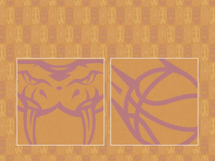 Round 11: Taipans v Bullets