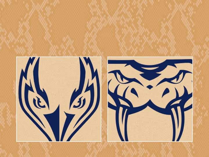 Round 9: Taipans v 36ers