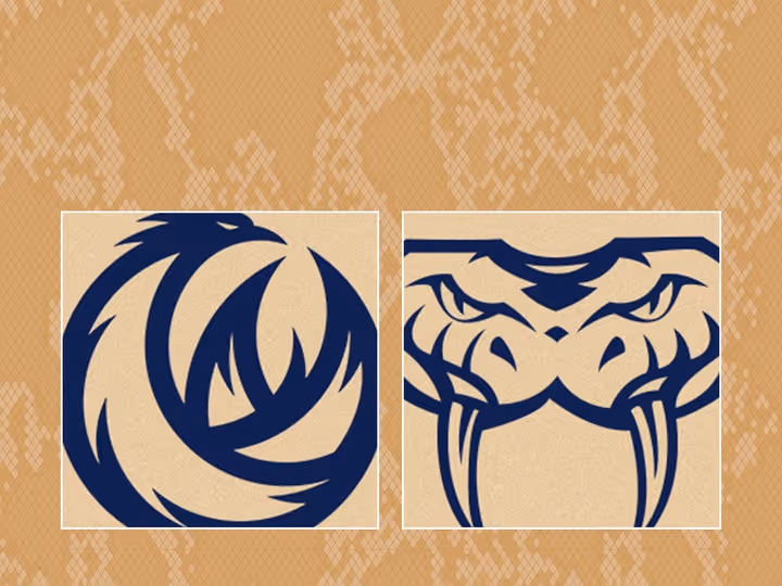 Round 2: Taipans v Phoenix