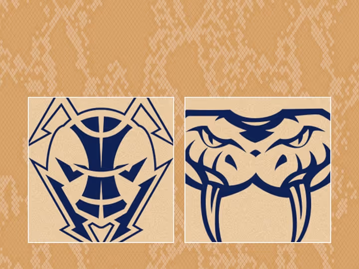 Round 1: Taipans v JackJumpers