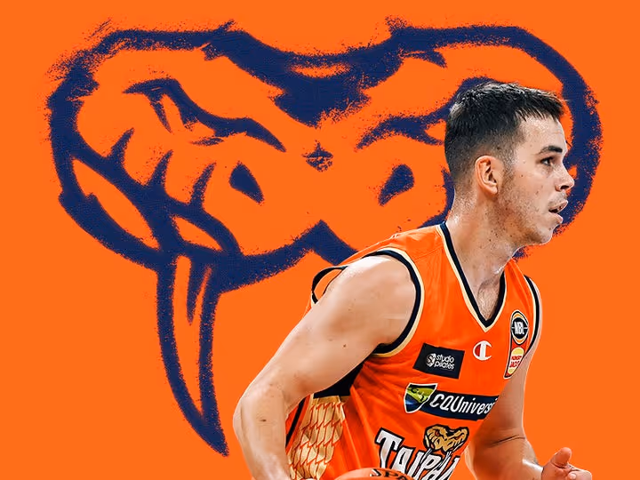 Ayre rewarded with Taipans contract