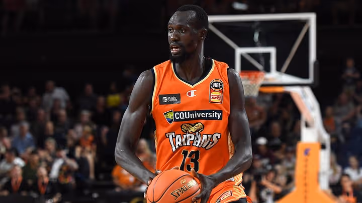Taipans celebrate festive season with stunning win