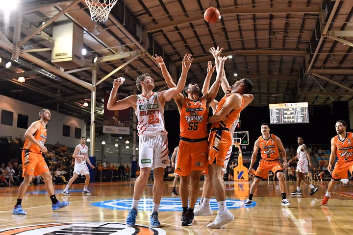 Snake Eyes – Taipans vs Wildcats