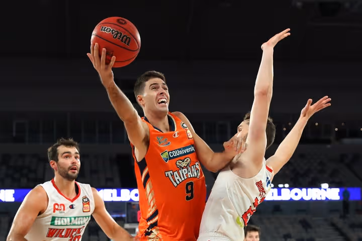Snake Eyes – Taipans v Wildcats