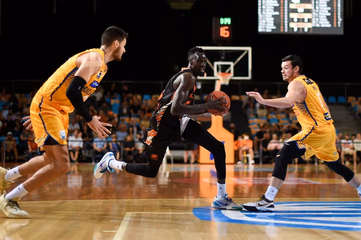 Snakes keep fighting in Blackout Game