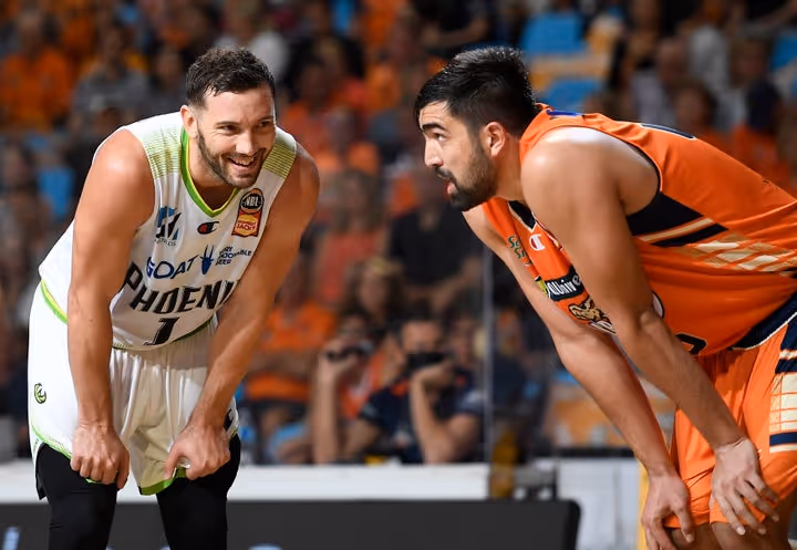 Taipans battle hard after slow start at home to Phoenix