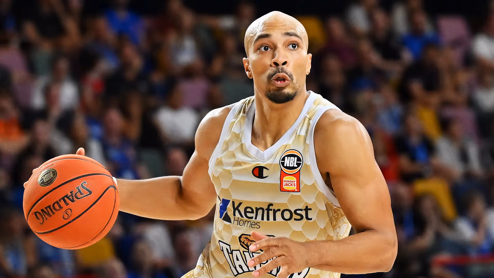 Taipans Target Consistency, Andrews Finds his Rhythm