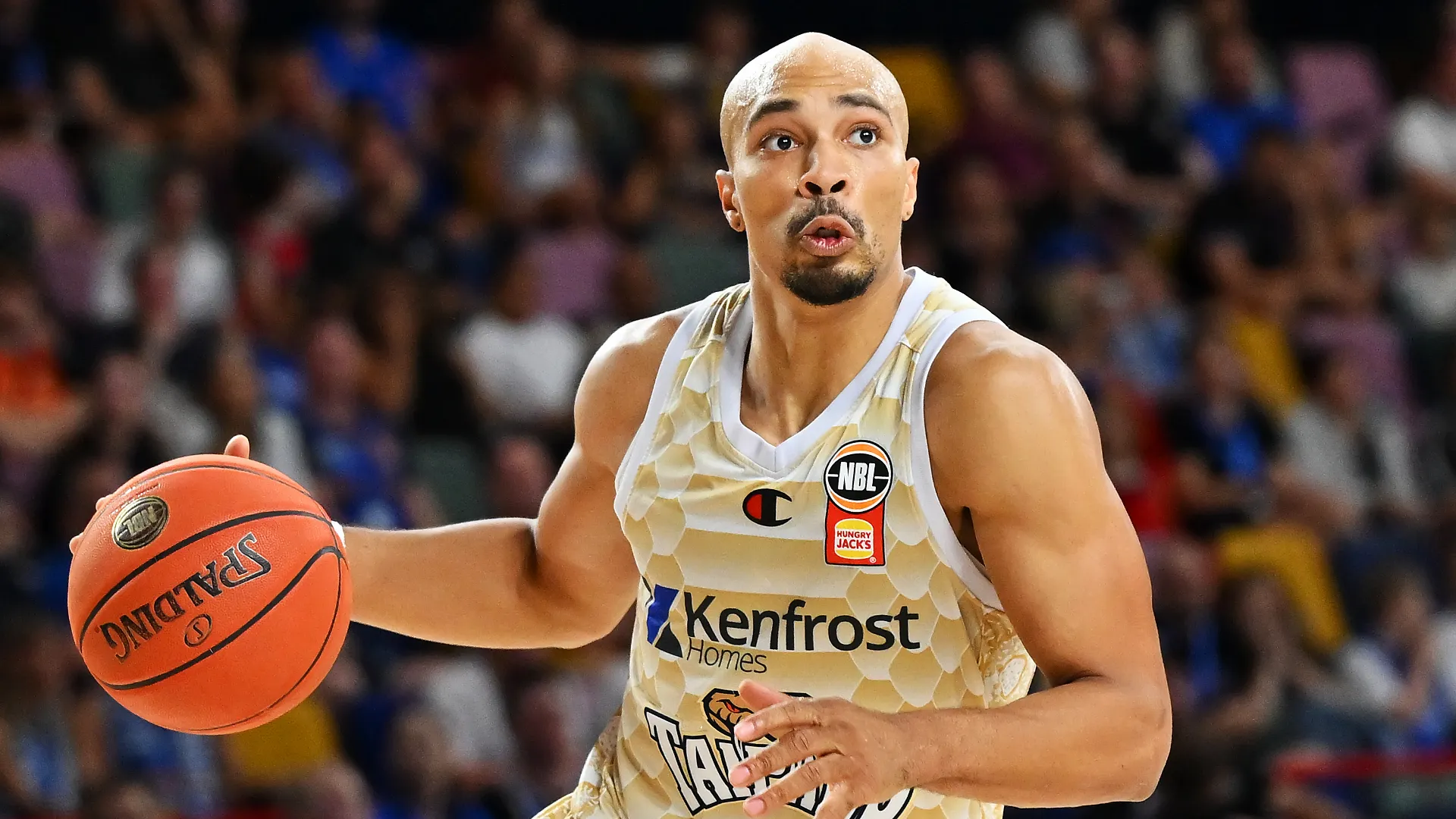 Taipans Target Consistency, Andrews Finds his Rhythm