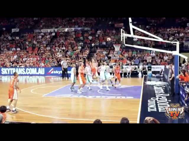 TaipansTV - The Reptile Rumble