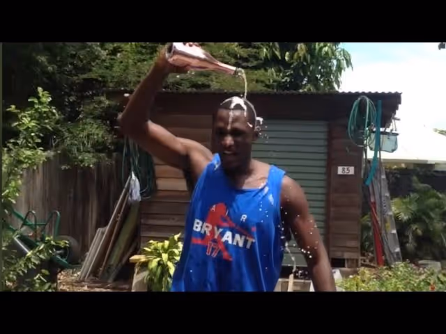 Tropic Zone: Fly the W