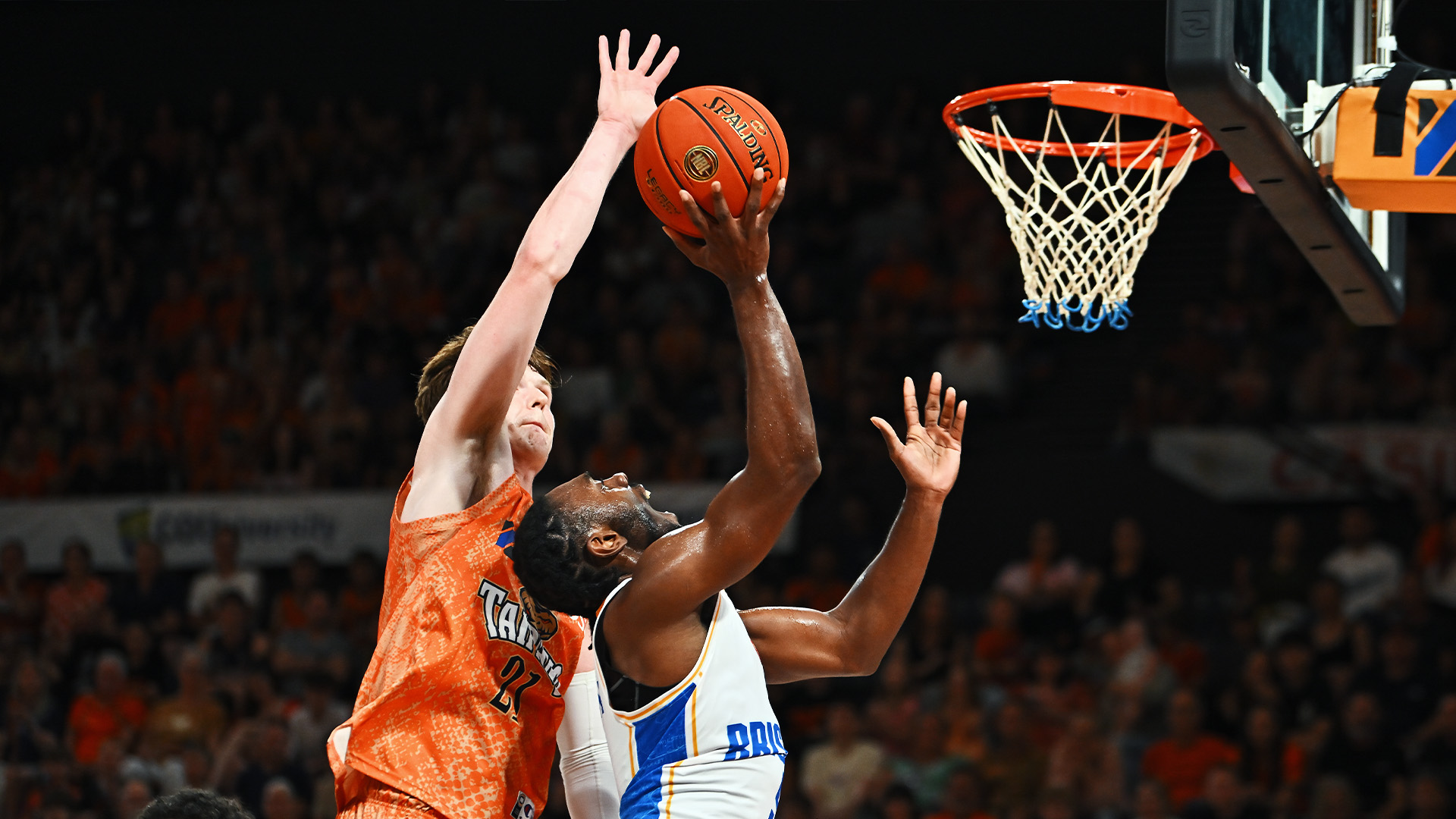 Sam Waardenburg vs. Brisbane (Round 7, 2024/25)