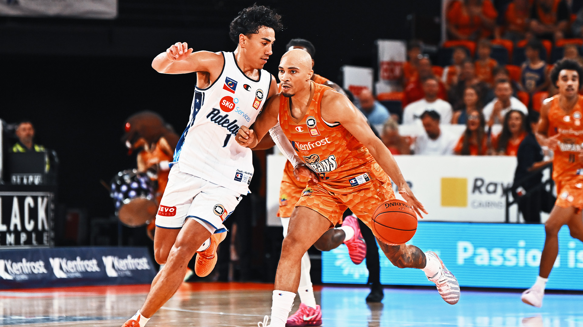 Andrew Andrews vs. Adelaide (Round 5, 2025/26)