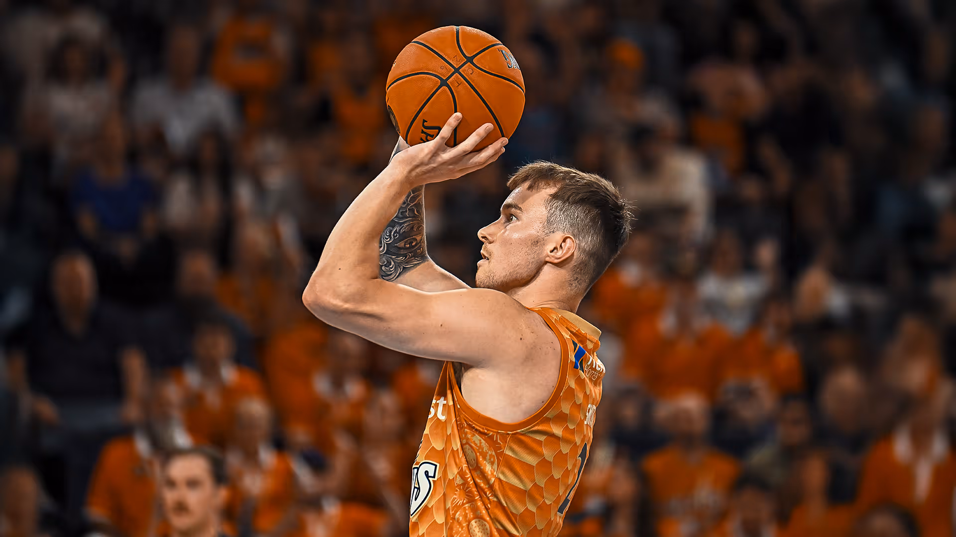 Taipans Injury Report: Round 15 
