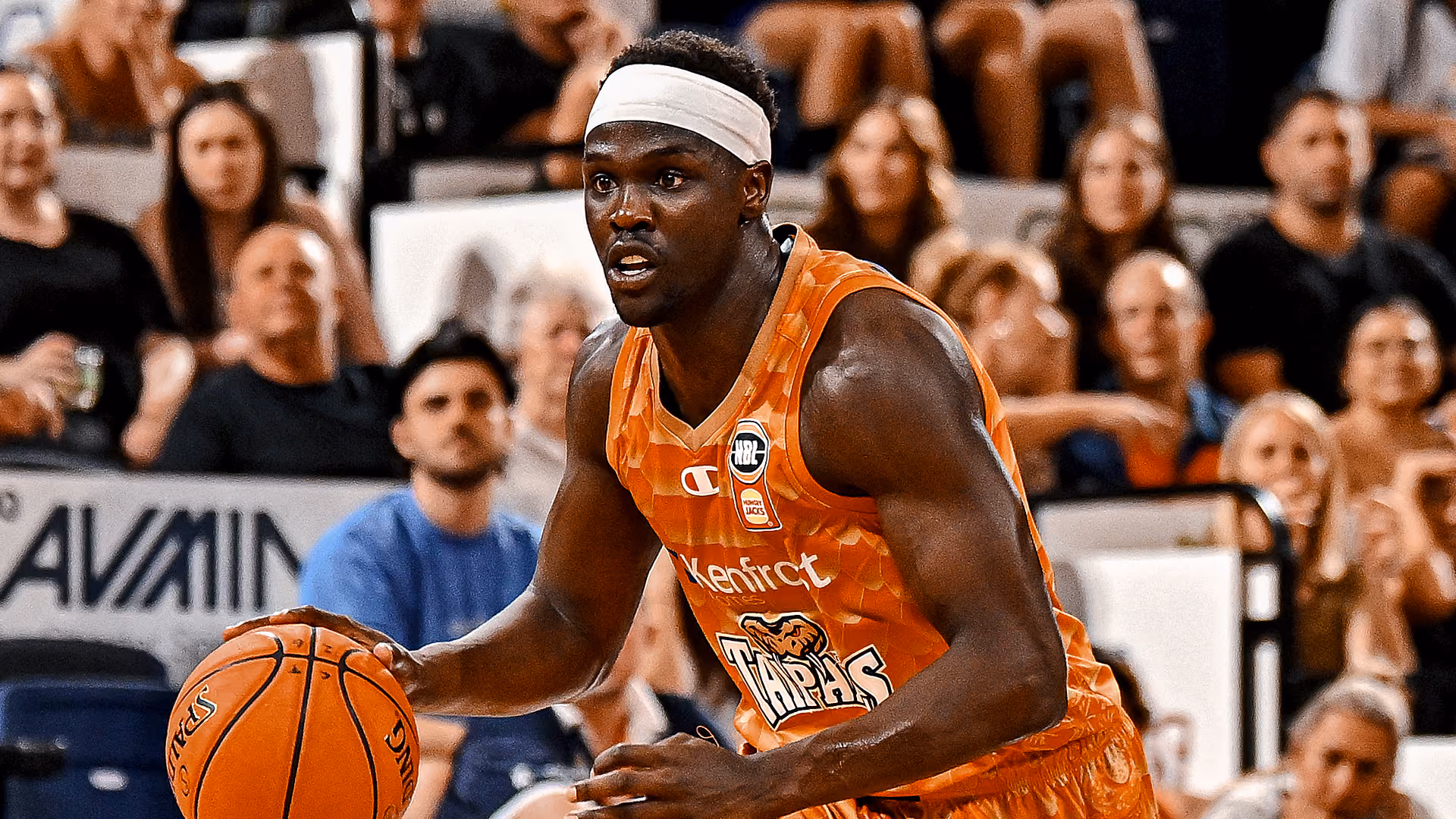 Taipans Injury Report: Round 16