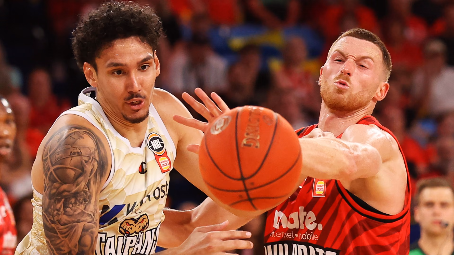 Taipans Chase Momentum on the Road in Wildcats-Bullets Double 