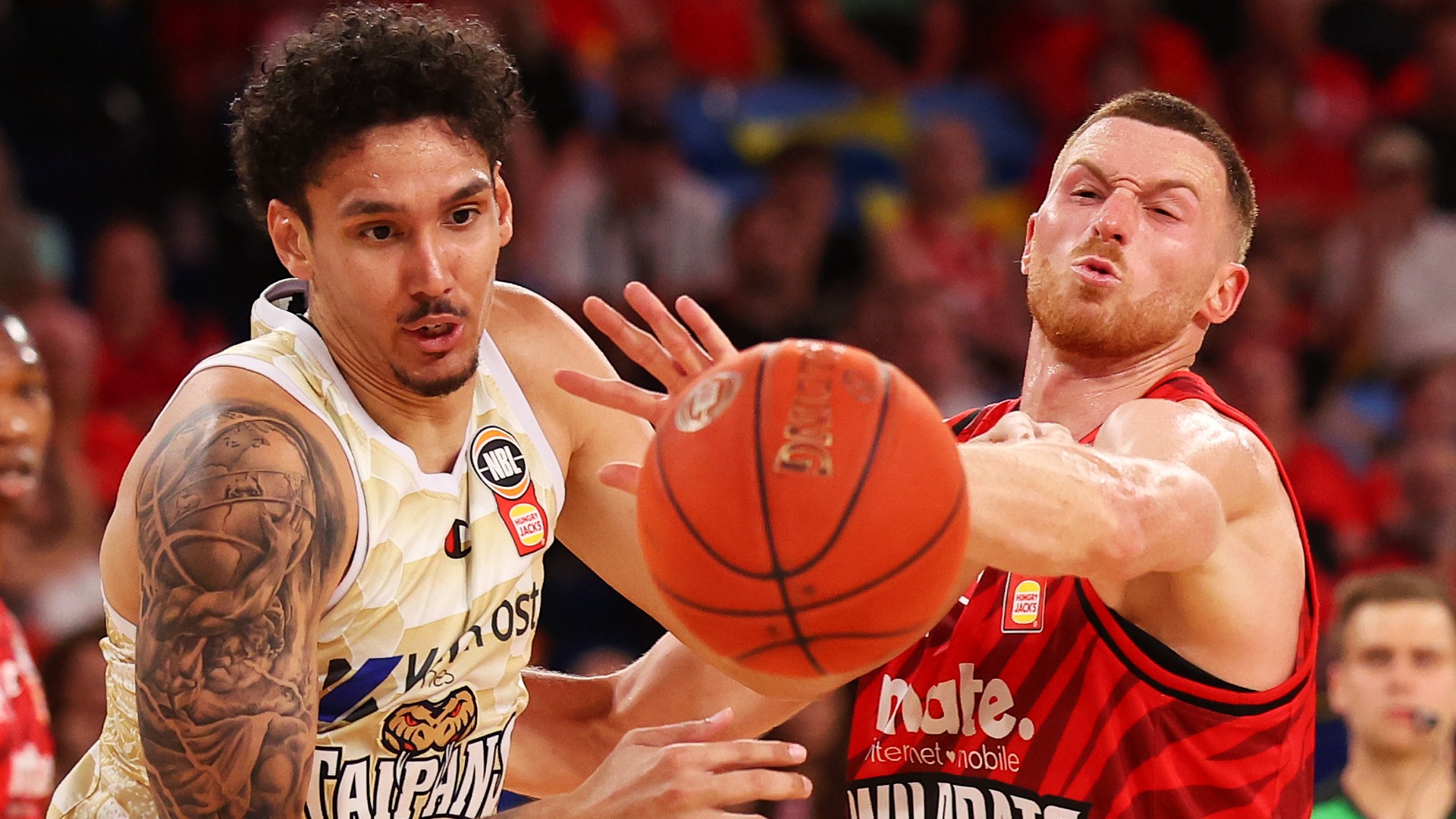 Taipans Chase Momentum on the Road in Wildcats-Bullets Double 