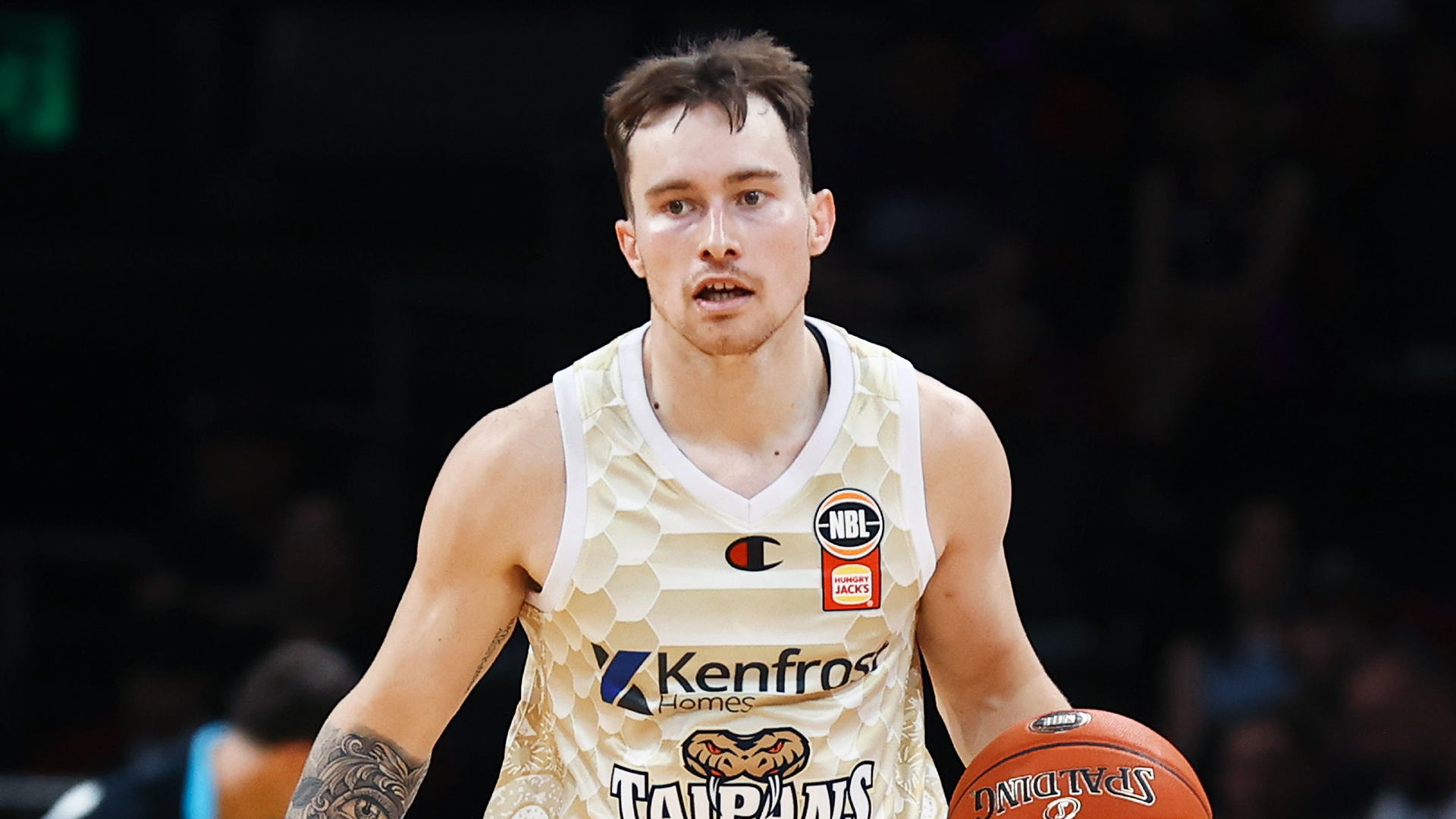 Taipans Injury Report: Round 20