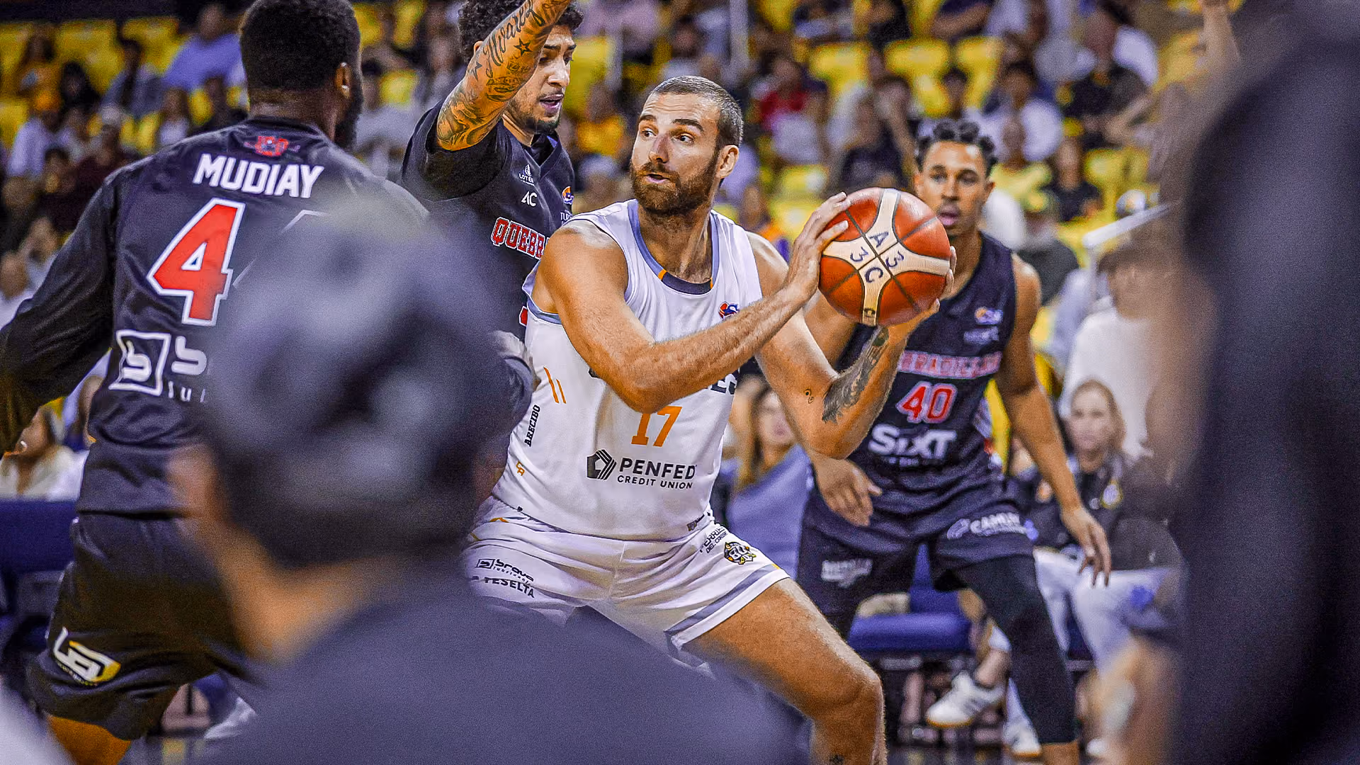 Taipans Off-Season Report - May