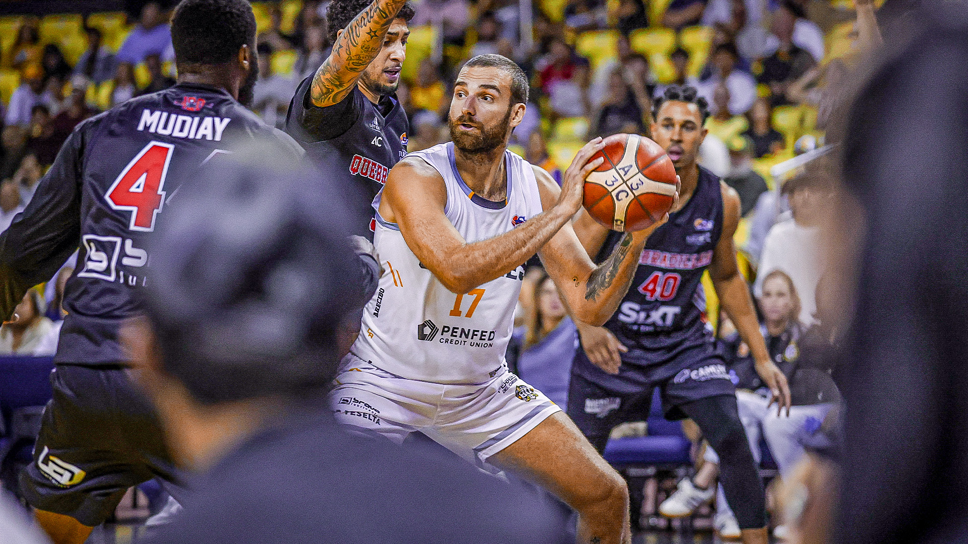 Taipans Off-Season Report - May
