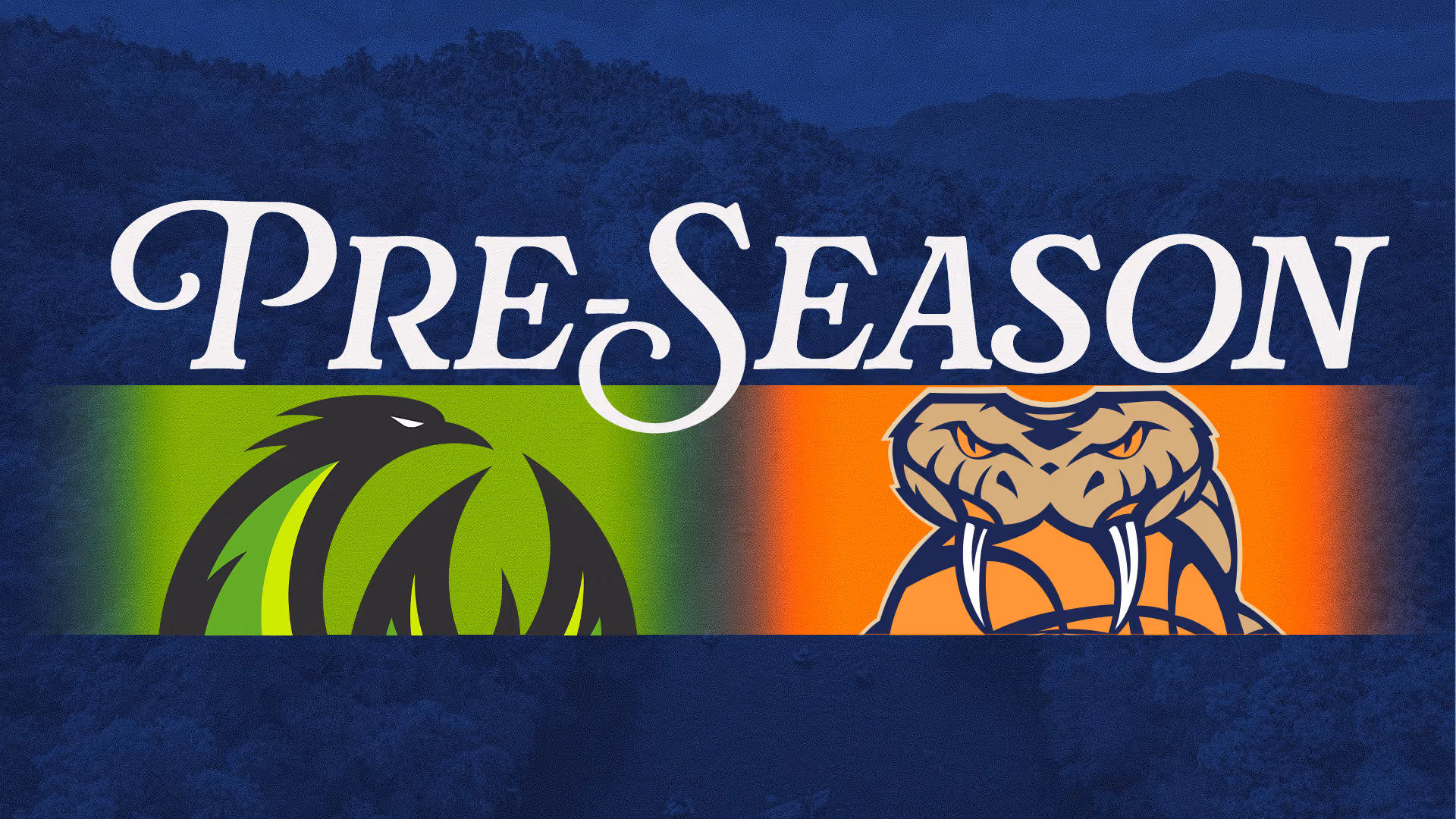 WATCH: SE Melbourne v Cairns
