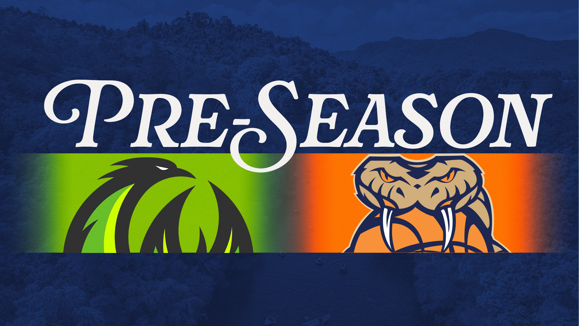 WATCH: SE Melbourne v Cairns