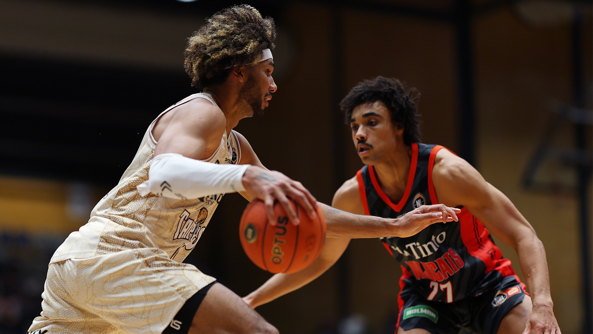 Taipans overrun Wildcats to open Blitz