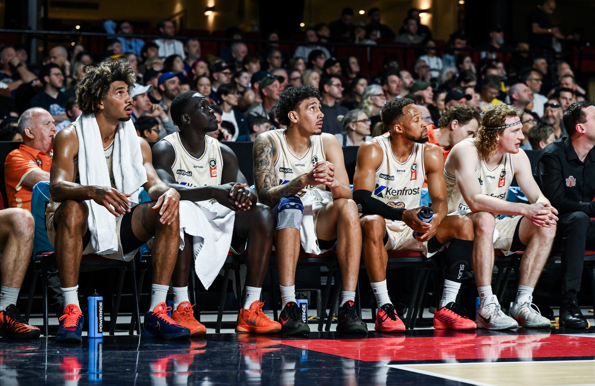 Taipans searching for spark ahead of NZ clash