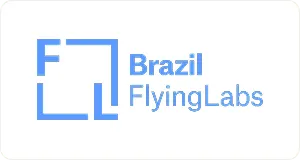 Brazil FlyingLabs logo