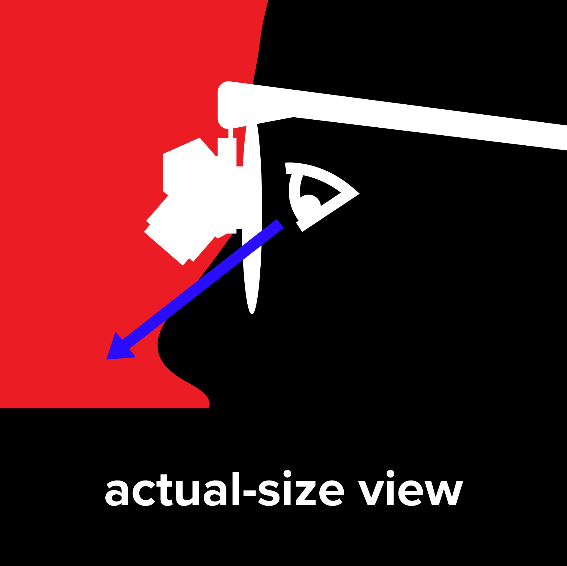 actual-size view