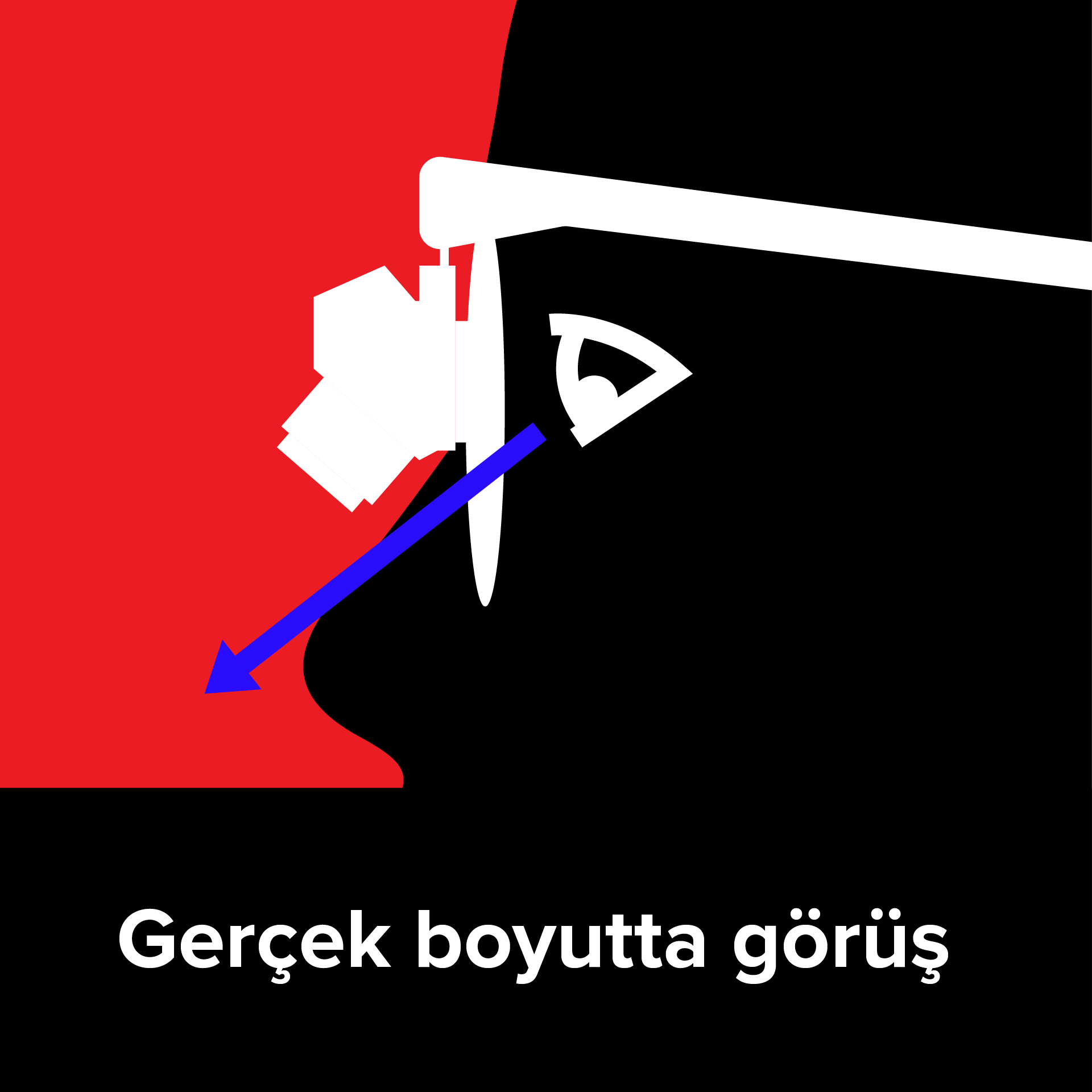 actual-size view